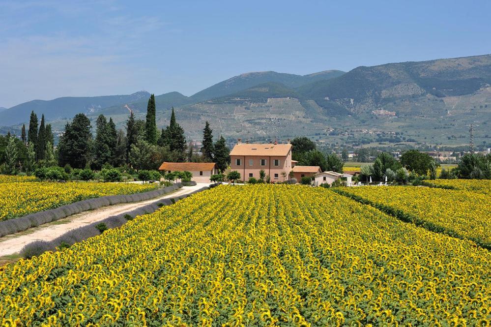 Country House Casco Dell'Acqua Trevi Exterior photo
